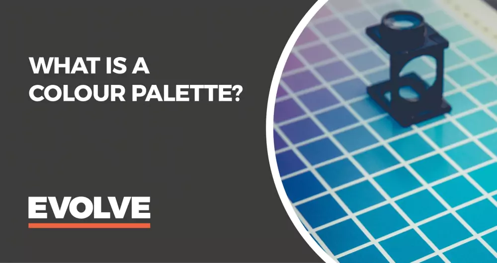 What is a colour palette