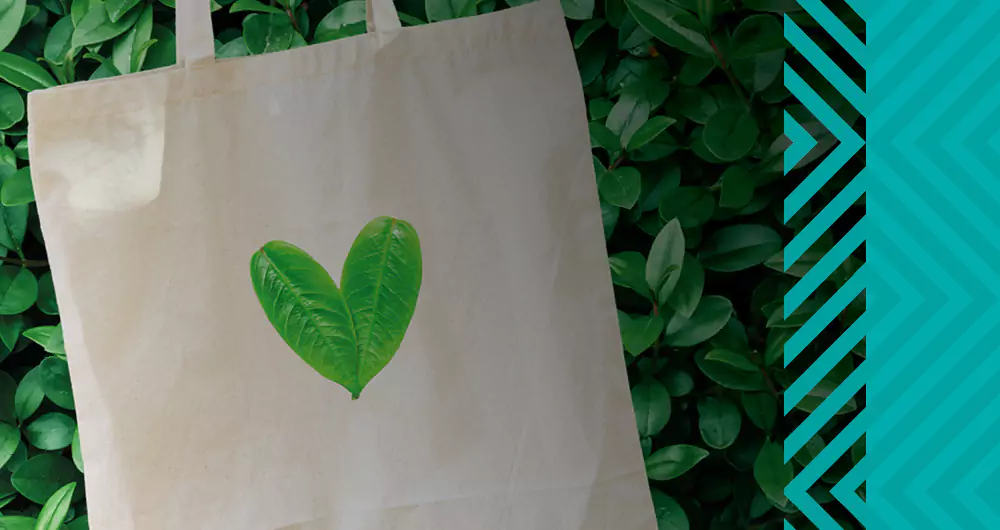 Eco-friendly promo tote bag